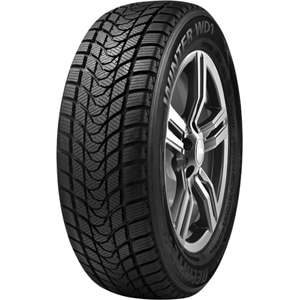 Anvelope Iarna DELINTE WD1 195/65 R15 91 H