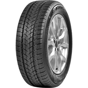 Anvelope Iarna DAVANTI Wintoura SUV 315/35 R20 110 V XL